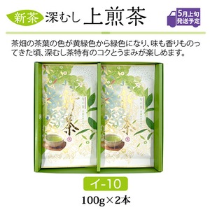 2024年静岡新茶　上煎茶ギフト　100ｇ袋×2本セット【イ-10】