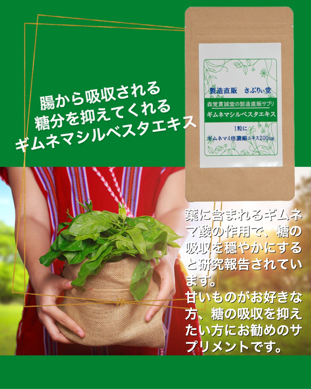 【サプリ　日本製】ギムネマシルベスタエキス錠　180粒　（１粒にギムネマ４倍濃縮エキス200mg）送料無料