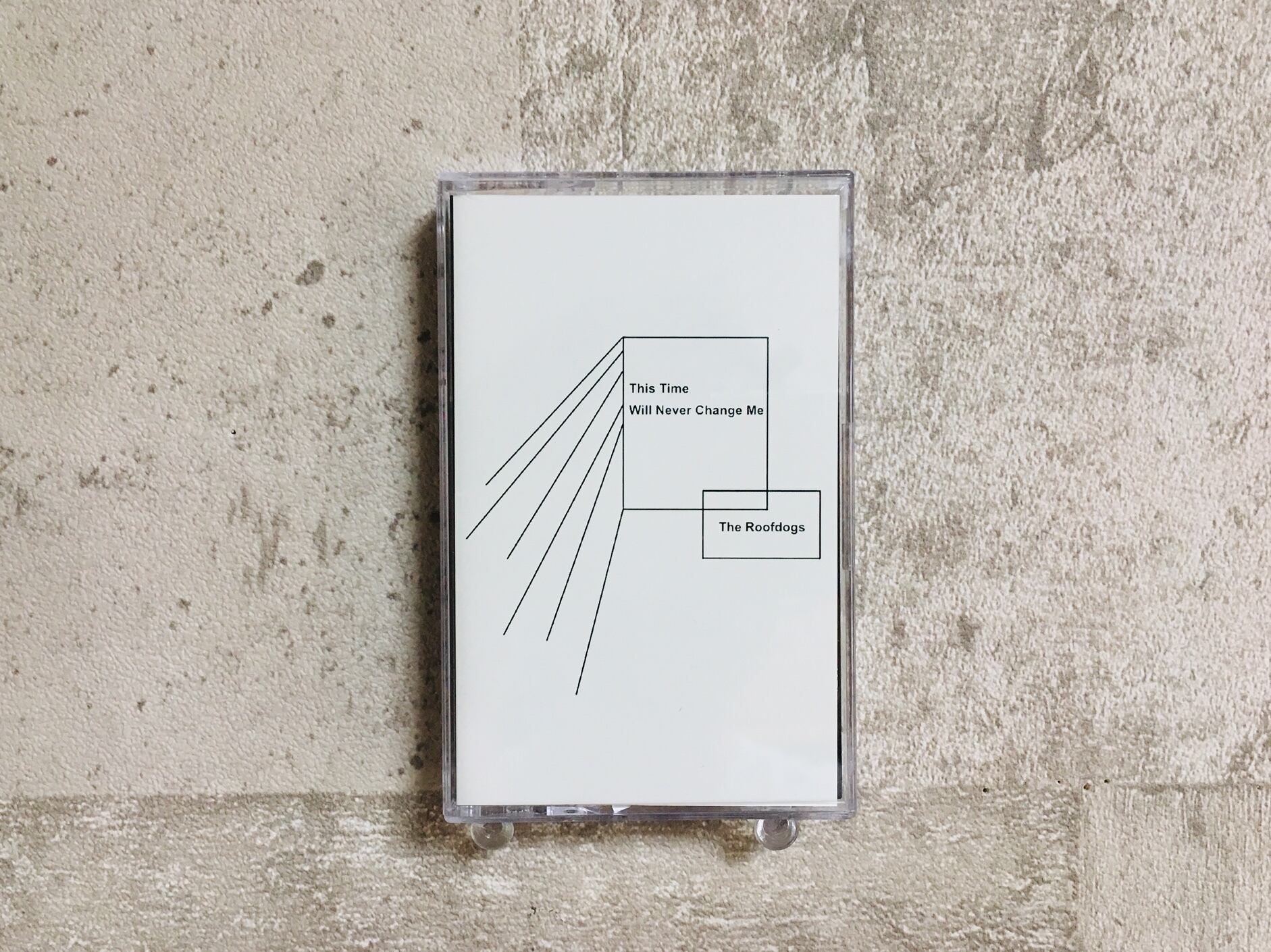 Mega Shinnosuke / momo | HOLIDAY! RECORDS DISTRO