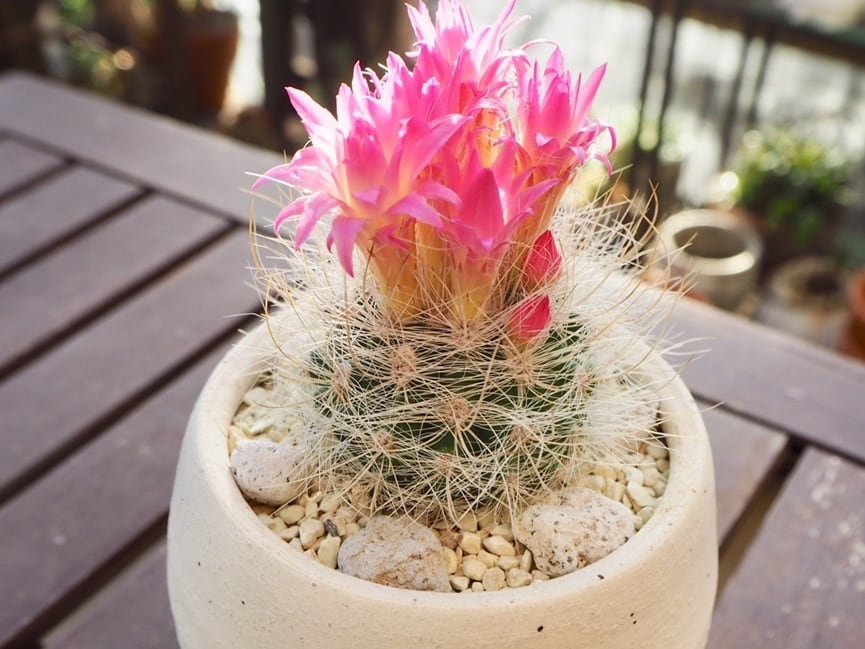 e7d9bb924cd9a2b0bff7d089afc876