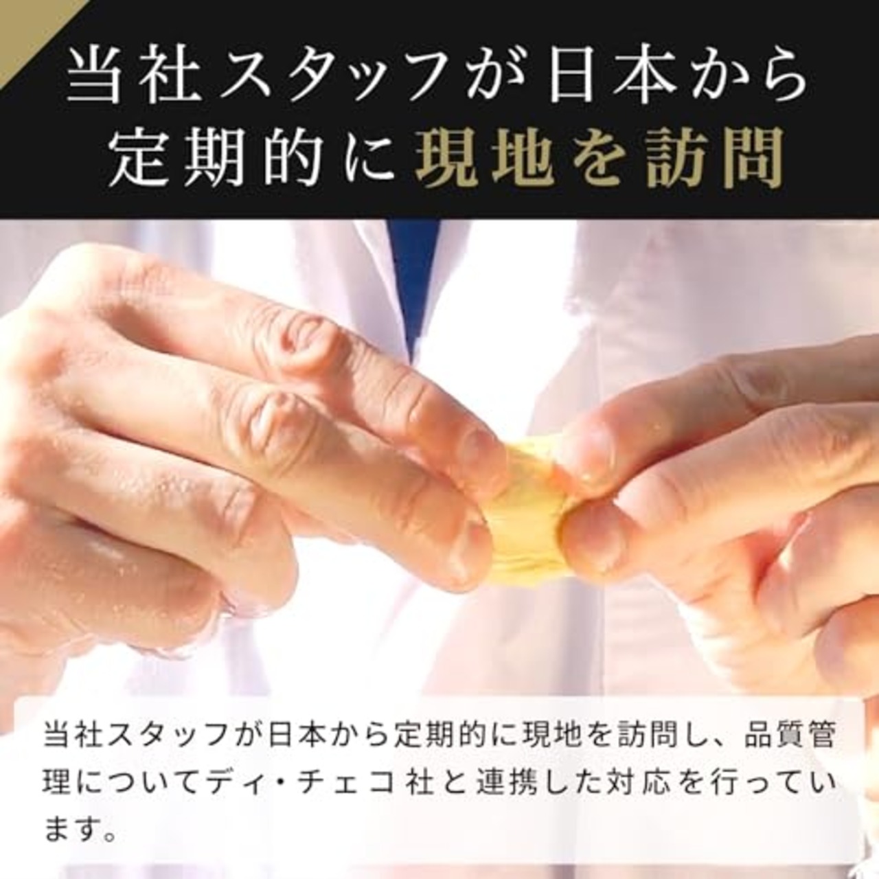 日清製粉ウェルナ ディ・チェコ スパゲッティーニNo11 500g