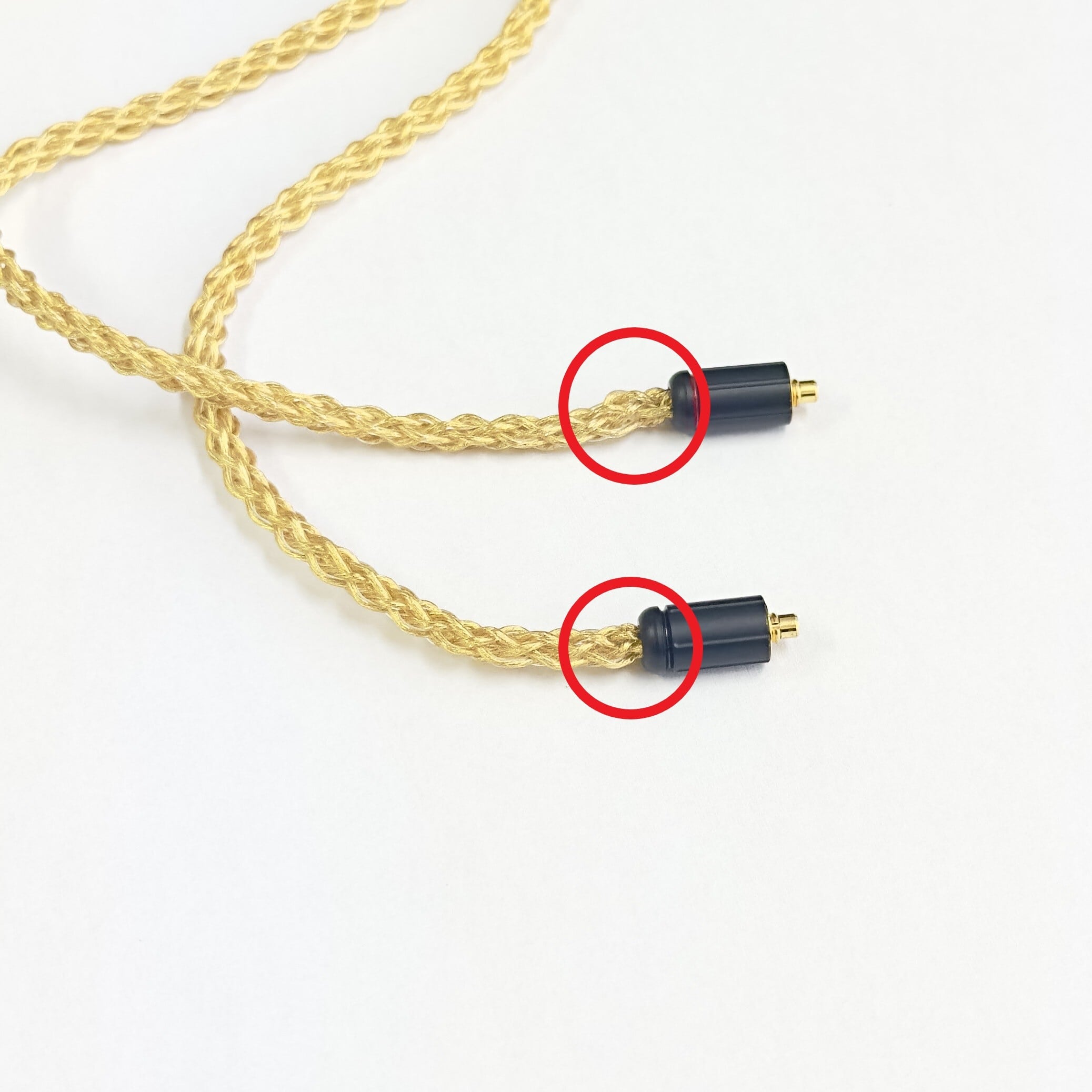 サンプル市】胡蝶 極（こちょう きわみ）： NOBUNAGA Labs