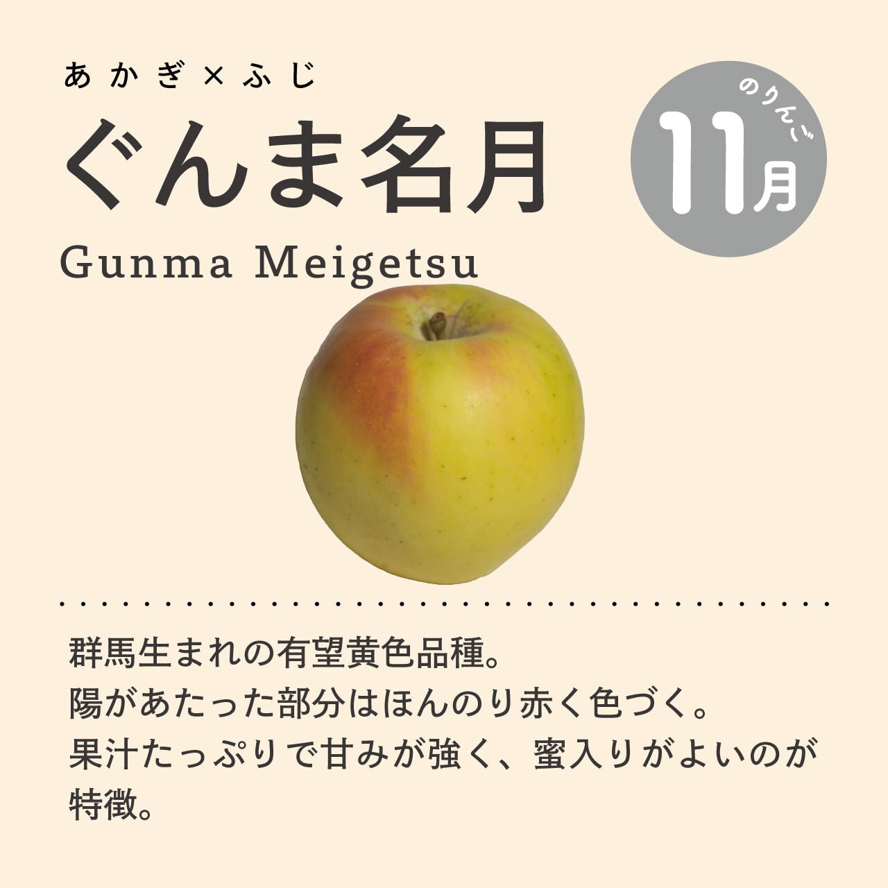 りんご：ぐんま名月》100％ジュース【250ml】 | 泉が丘喫茶室