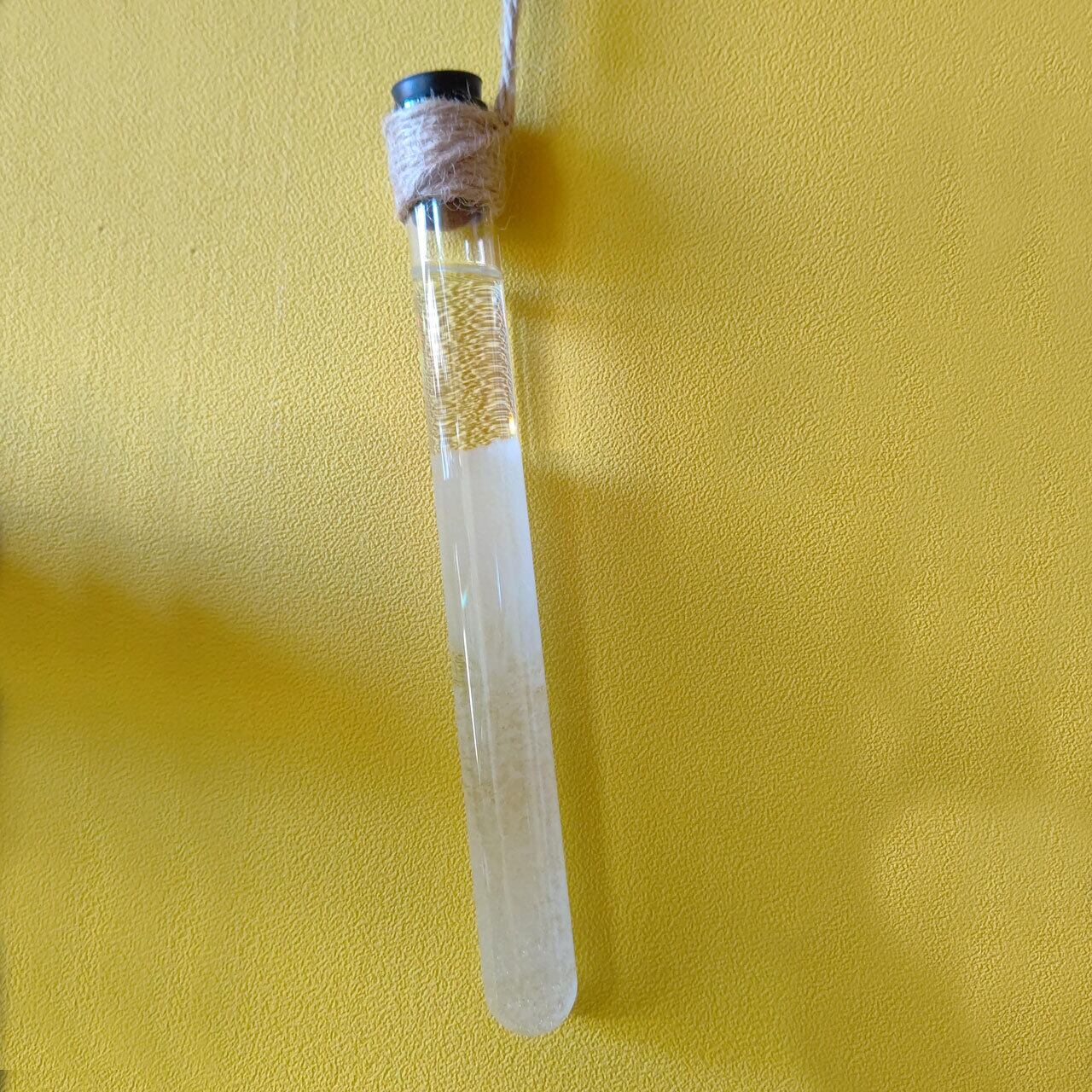FRACTAL Storm glass 天気菅 試験管（L） | SECCHU ARTS ＆ CRAFTS