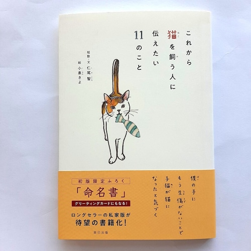 これから猫を飼う人に伝えたい11のこと