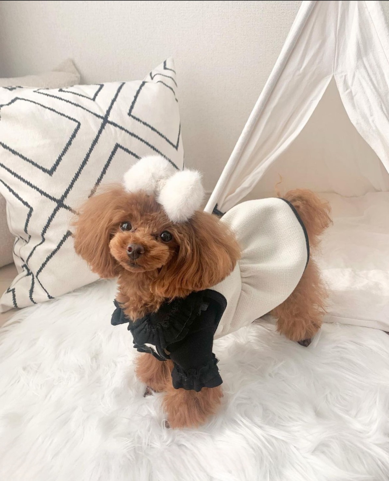 即納【smolbite】Butter onepiece