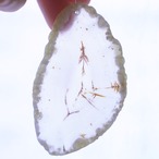 SAKURA - アゲートヒーリングチャイム / Agate Sun Catcher Wind Chime 576