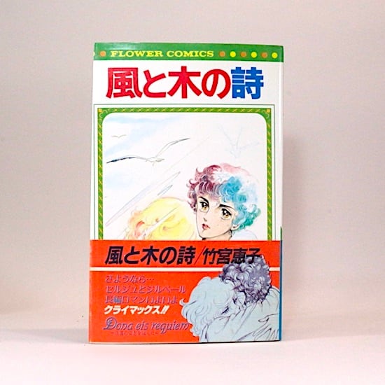 風と木の詩 全17巻セット 竹宮恵子 フラワーコミックス | HANAMUGURI