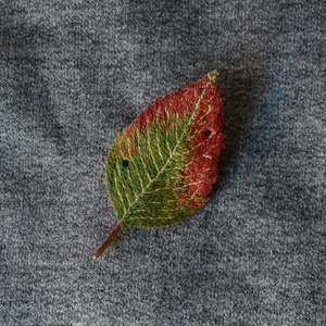 nanase terakoshi  ブローチ サクラの葉 <初秋> B