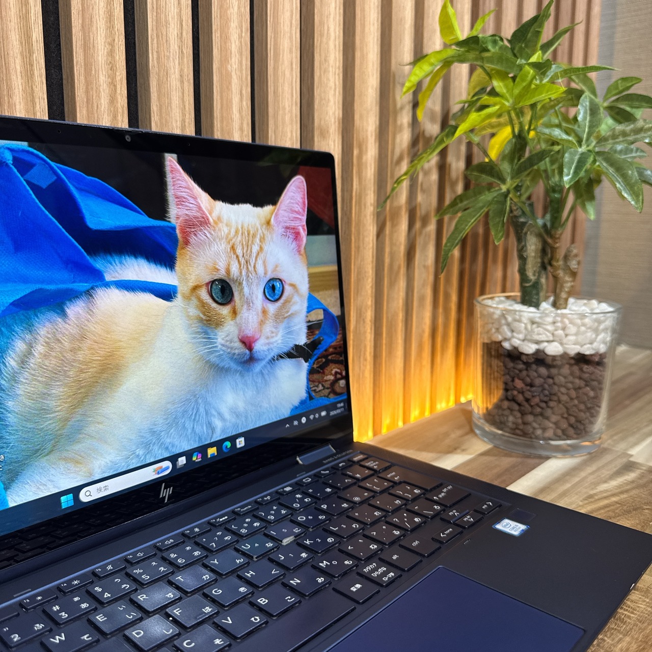 \ 公式ショップ限定価格❣️/ LTE《最上位モデル》HP Elite Dragonfly タッチ対応 メモリ8GB SSD256GB FHD ノートパソコン 安心サポート&3ヶ月保証付き