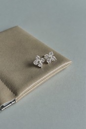 Clover Star