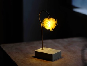 [The FINAL EXHIBITION] 森の小さな灯 no.7  クレマチスⅰ