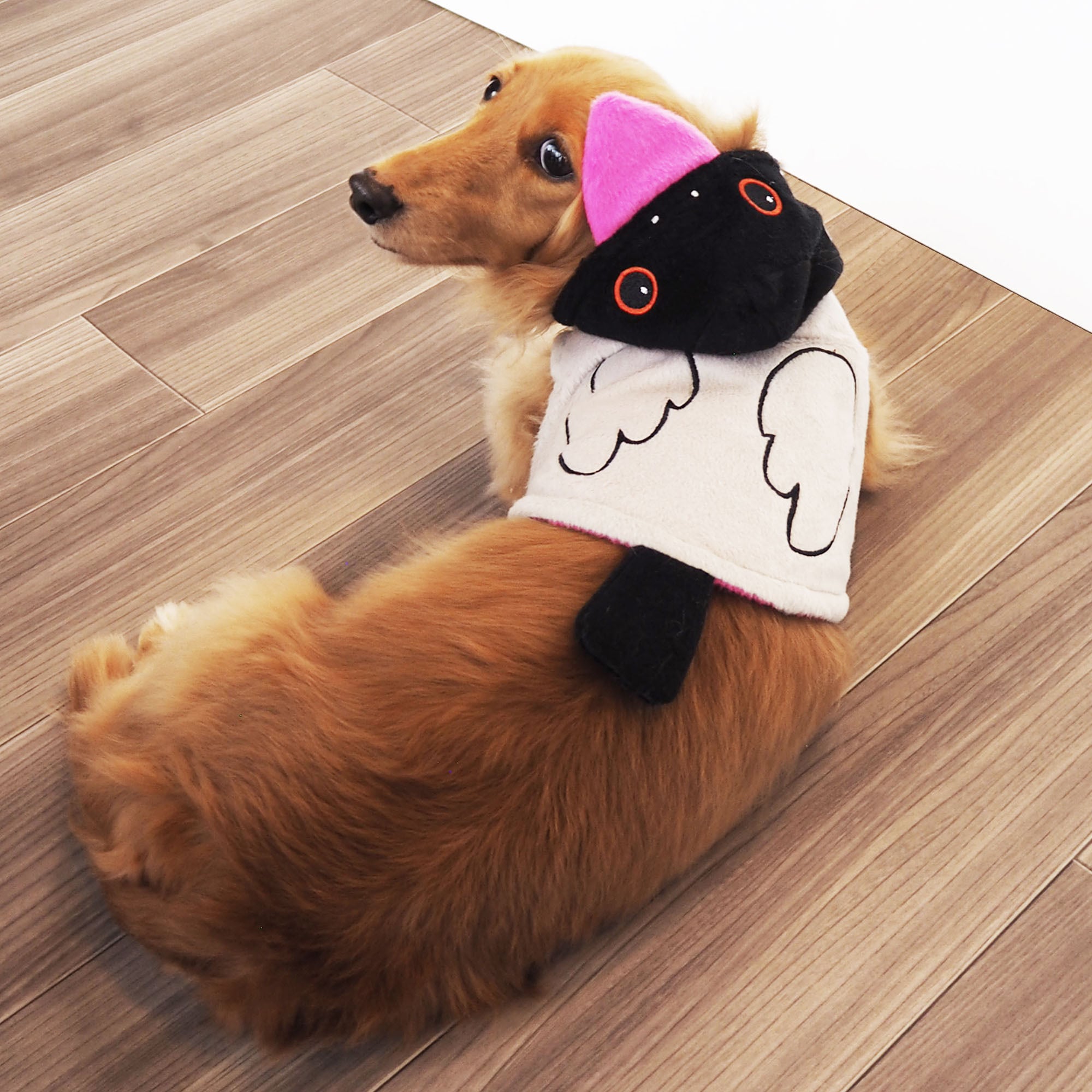 【ドッグウェア】 小鳥パーカー セキセイインコ/文鳥