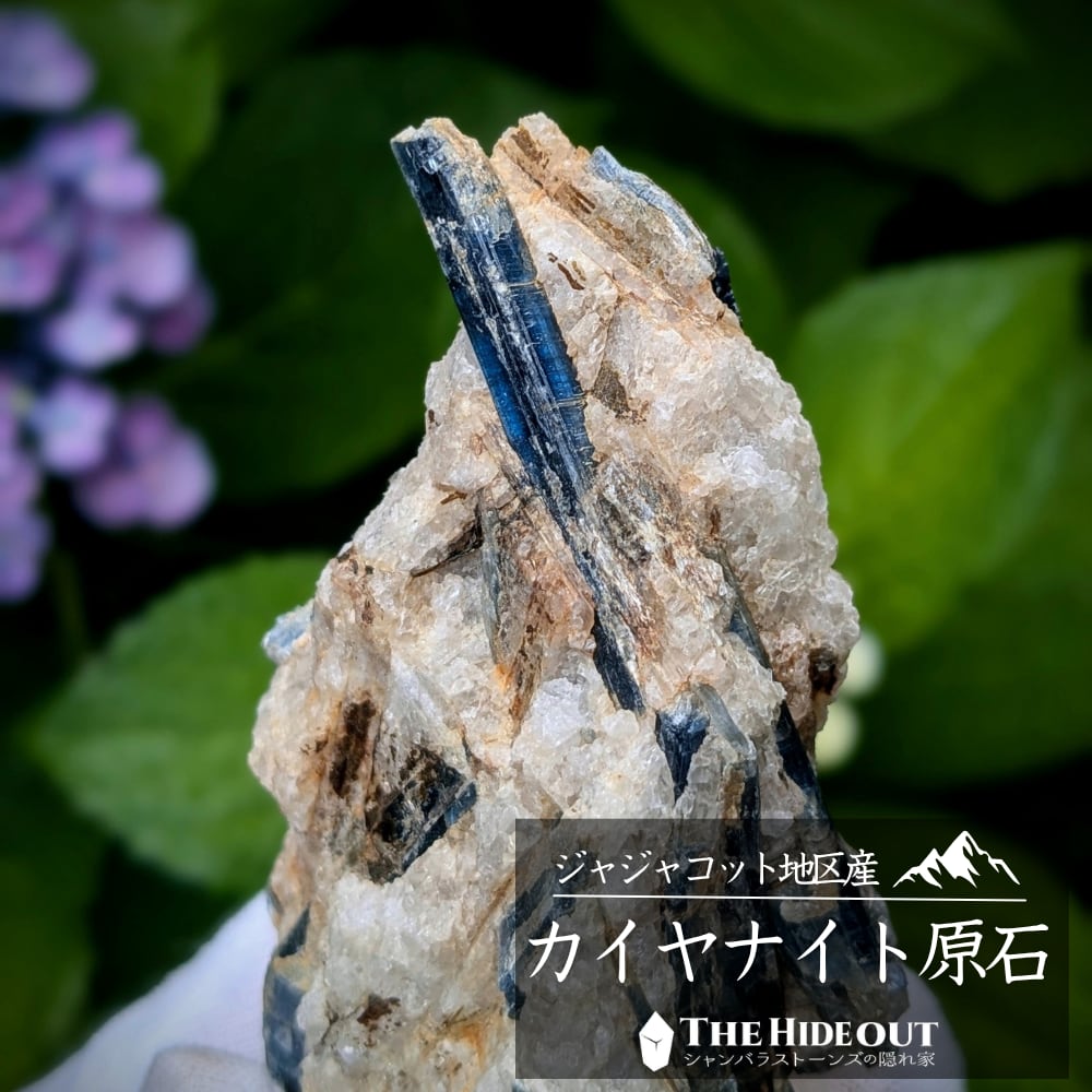 ヒマラヤ産鉱物原石標本050 ジャジャコット地区産カイヤナイト 冴えわたるジェミーな結晶、この1本の為にすべては