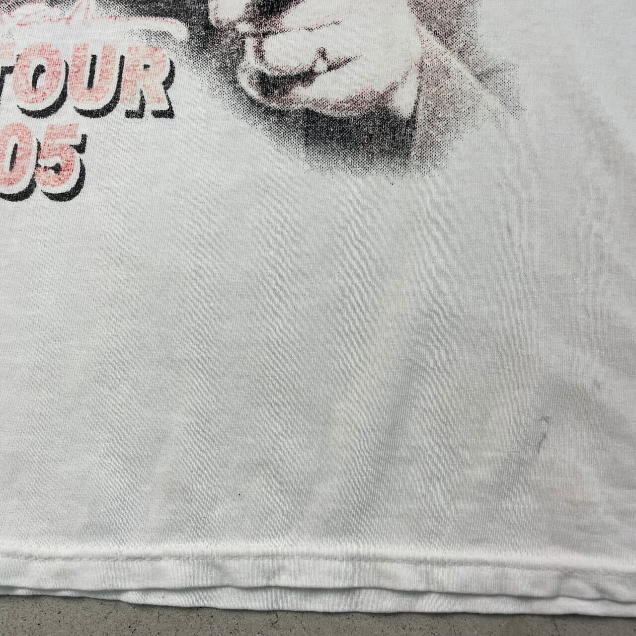 00年代 PAUL McCARTNEY ポールマッカートニー US TOUR 2005