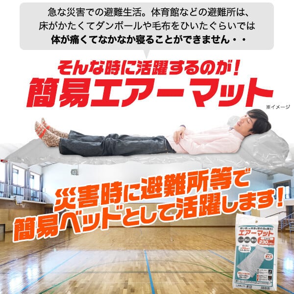 エアーマットL 災害用 防災用 簡易ベッド キャンプ 車中泊 介護 エアーマットL 災害用 防災用 簡易ベッド キャンプ 車中泊 介護