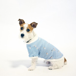 2021SS collection            Jackボーダー dog Tシャツ ブルー