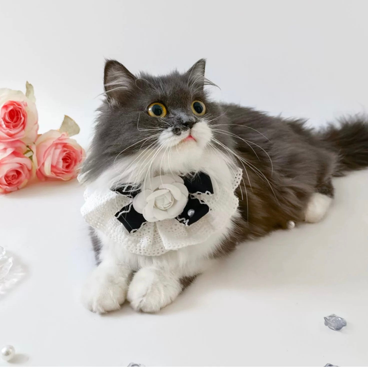 レースRoseブラックリボン 猫 エプロン 付け襟 すたい 猫グッズ