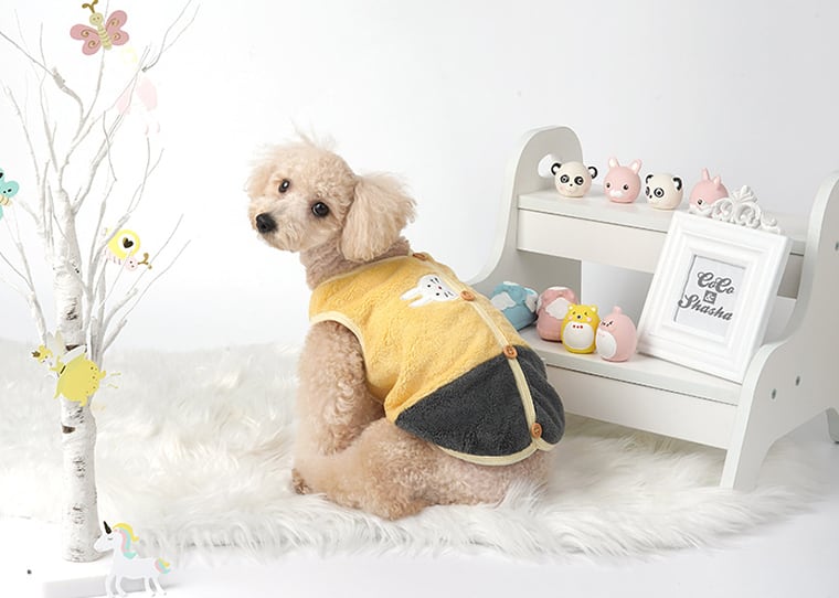 faceトップス 2color S ~ 2XL / 犬服 秋冬 新作 ドッグウェア 可愛い 犬の服 ペット わんこ服 小型犬 中型犬 猫 top92