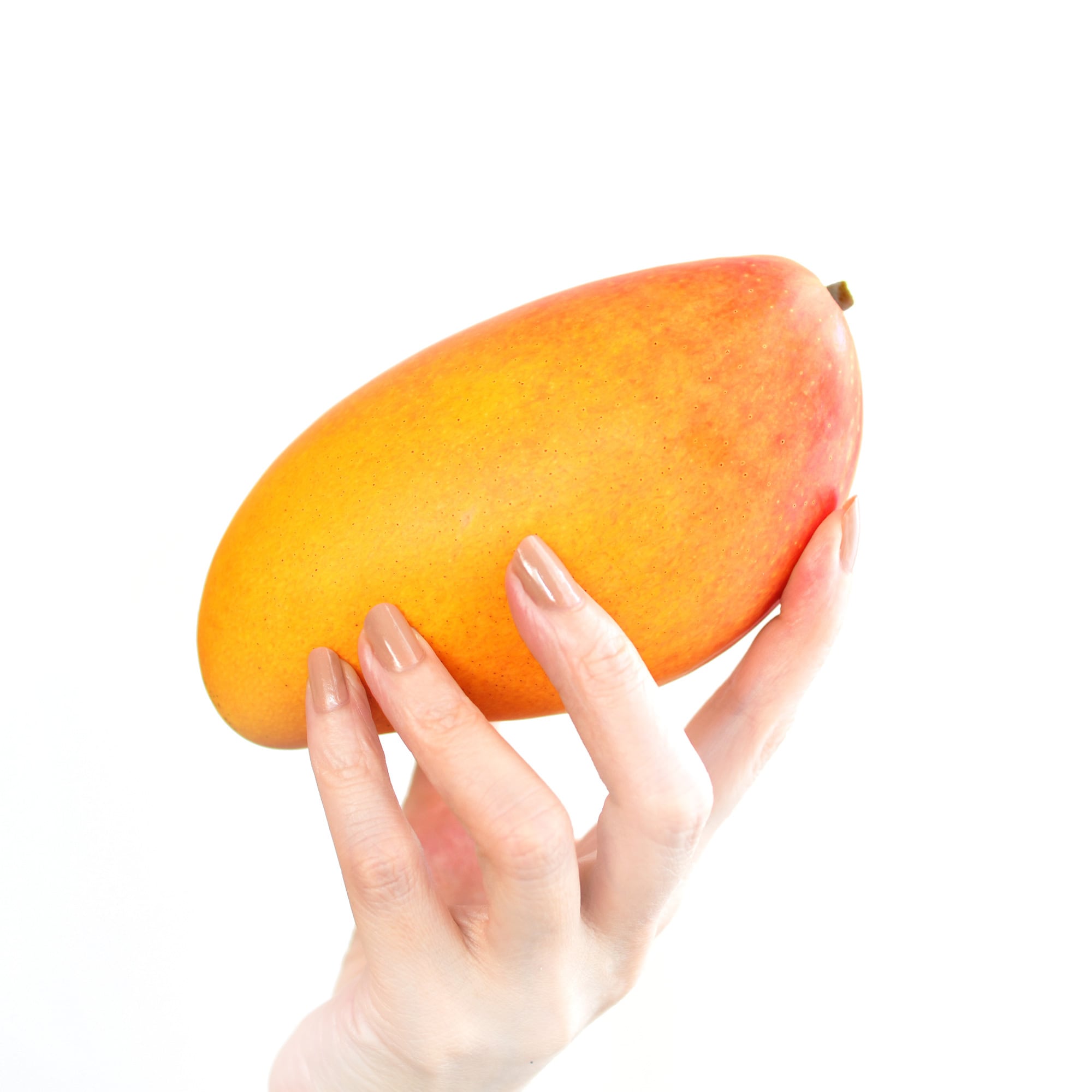 マンゴー苗 品種 キーツ 紅キンコウ 6号サイズ