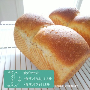 食パン2種類セット（冷凍便）