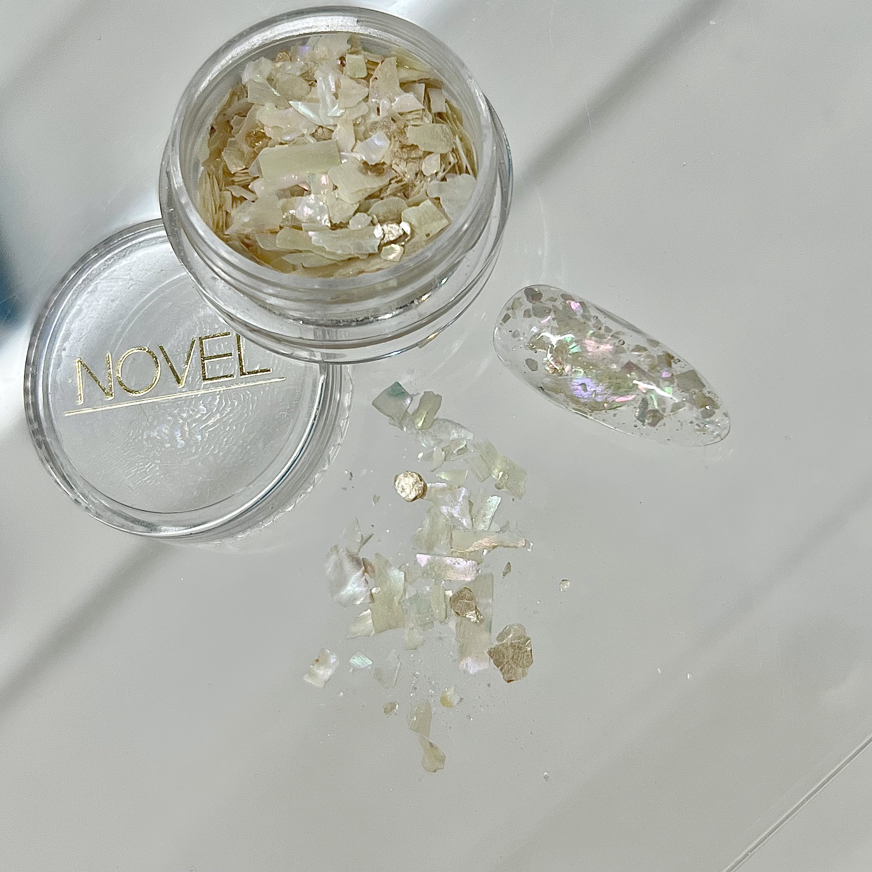 S430 Shell beach | atelier NOVEL