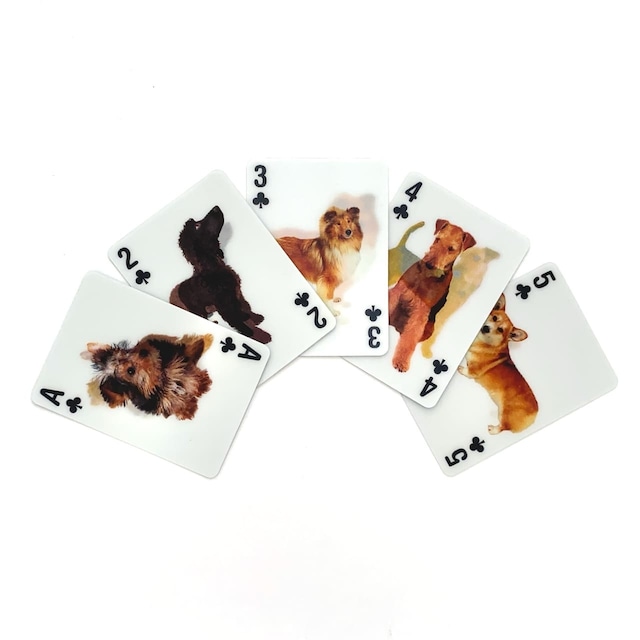 【訳ありセール】 3-D Dog Cards｜【SALE Sample】 犬のトランプ