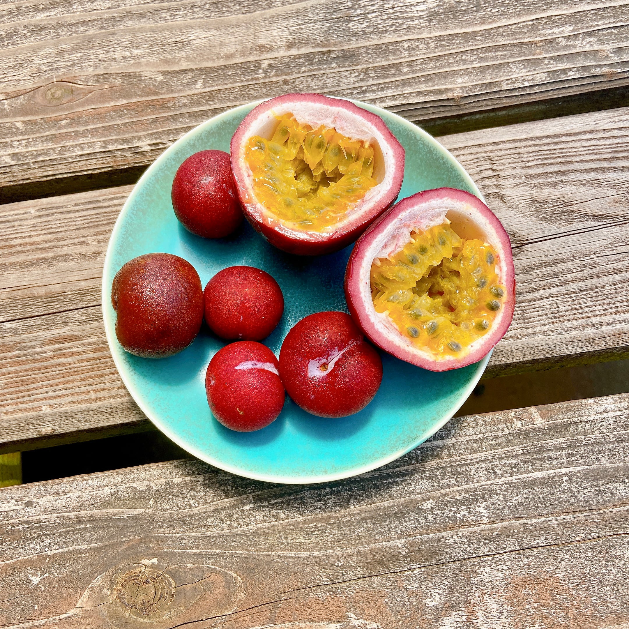 奄美産パッションフルーツ【訳あり4.5K】シワ品 本当に加工用】キズ