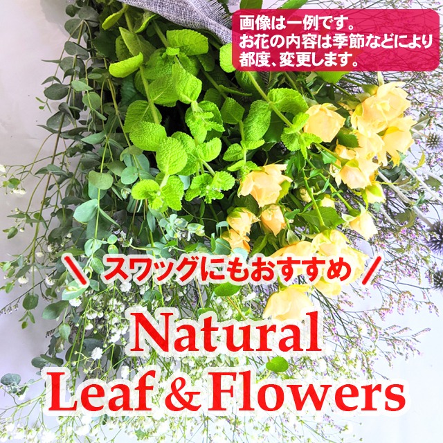 スワッグやドライフラワーに☆Natural Leaf & Flowers★フラワーロス支援