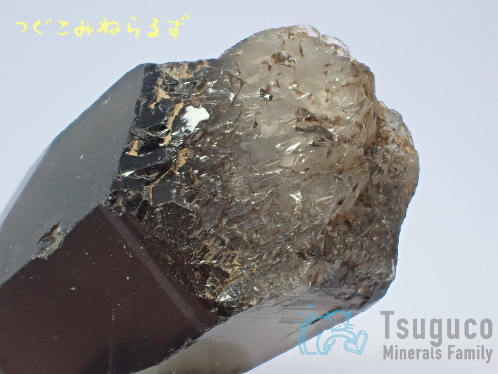スモーキークォーツ 煙水晶 Smoky Quartz ネパール TM-0037