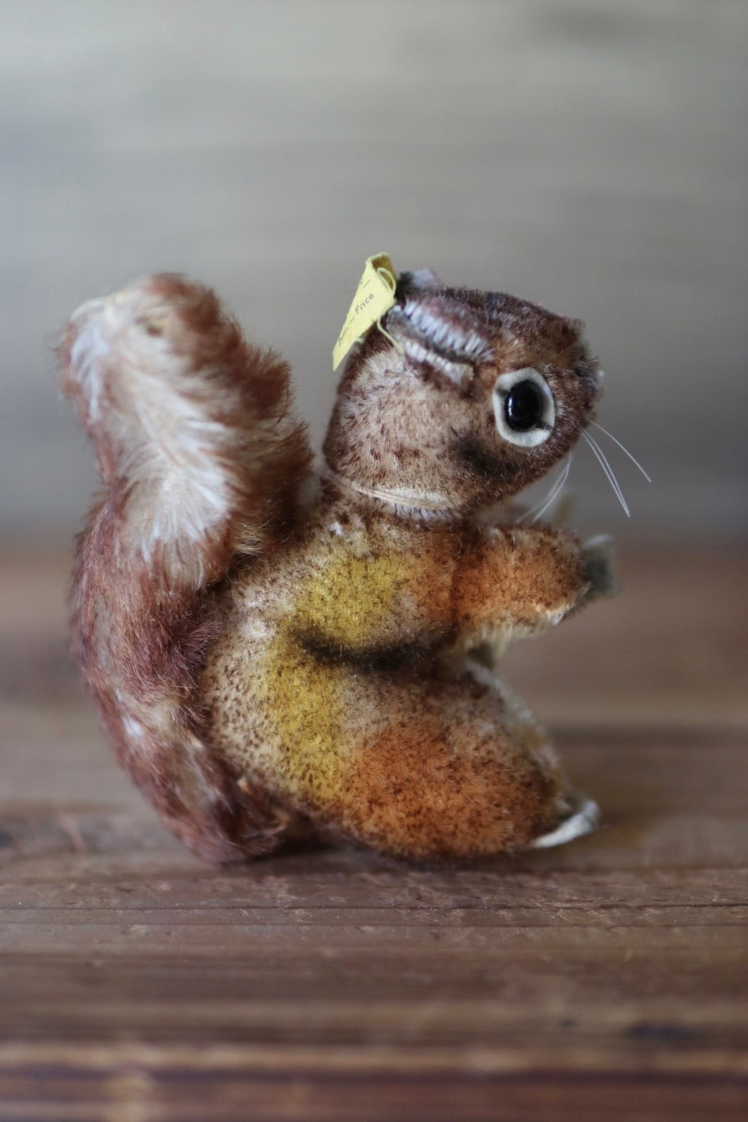 シュタイフ ぬいぐるみ リス Perri ヴィンテージ