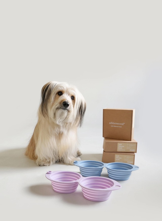 〈 即納アイテム 〉alleeseoul / ソフトシリコンボウル(ダブルタイプ)