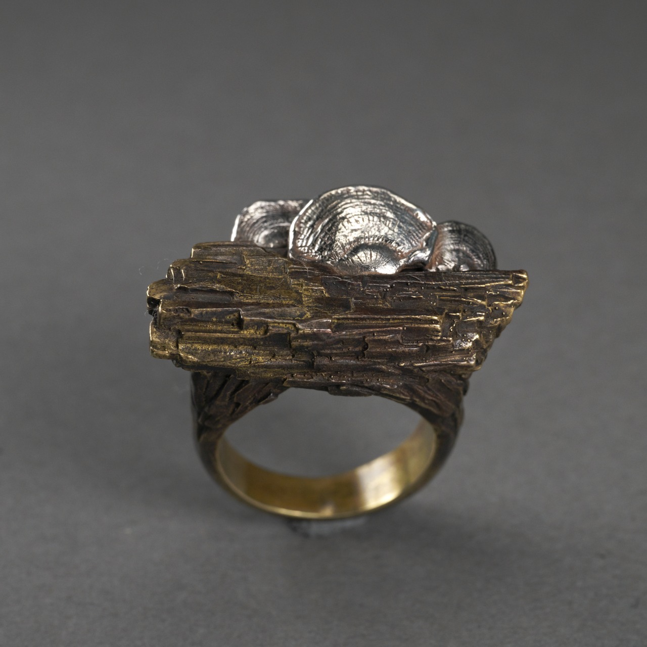 ウチワタケ×珪化木 コンビリング tree mushroom & silicified wood ring