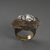 ウチワタケ×珪化木 コンビリング tree mushroom & silicified wood ring