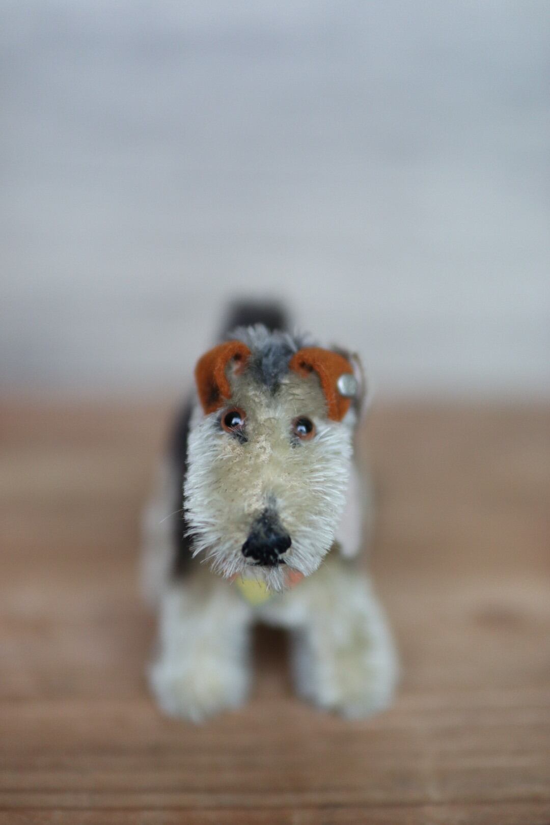 アンティーク シュタイフ 犬 エアデールテリア Terry
