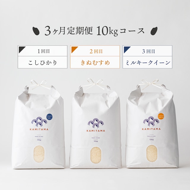 【定期便】令和5年度産 10kg（こしひかり・きぬむすめ・ミルキークイーン） 毎月1回お届け（全3回） 送料無料