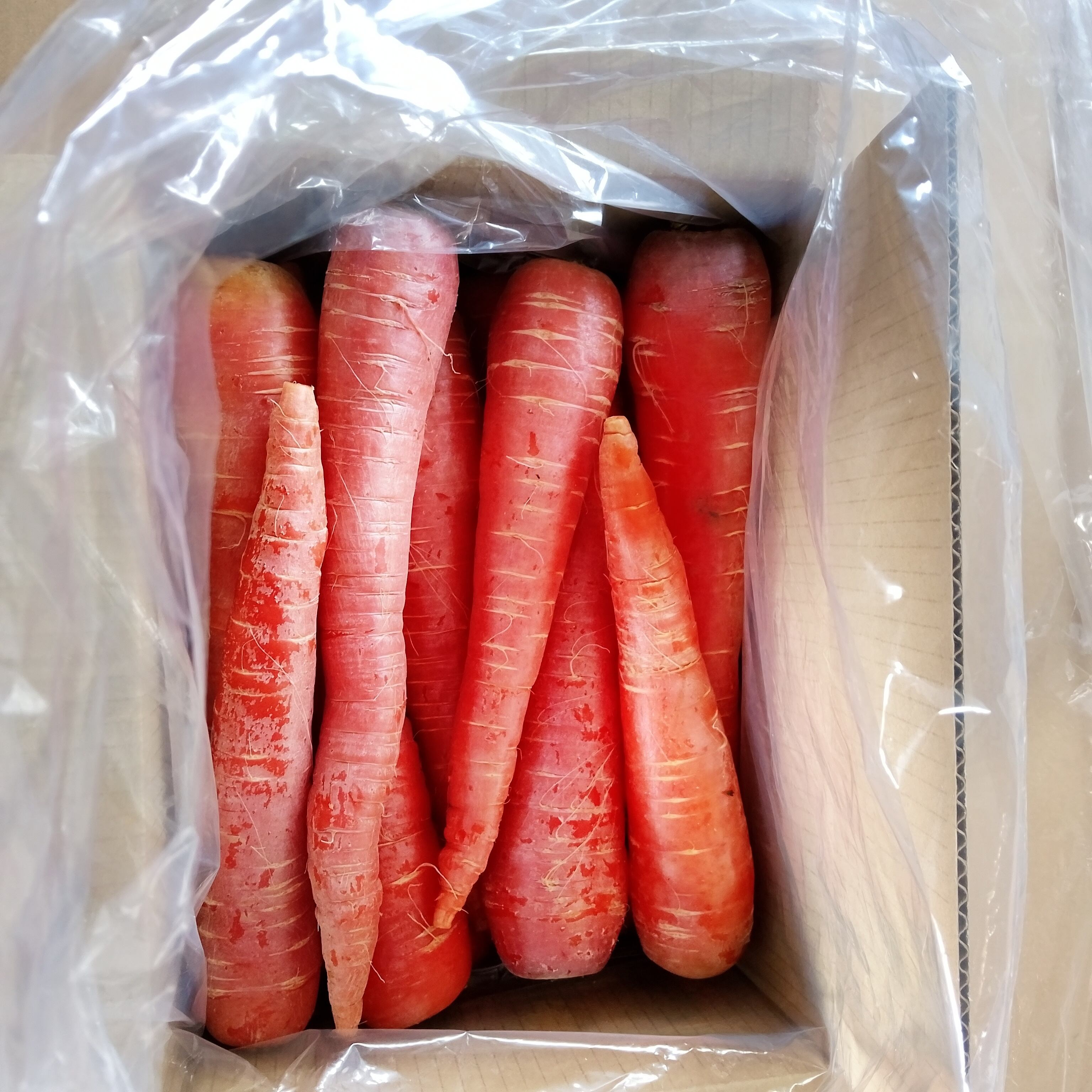 にのみや農園 : お徳用 人参 (京くれない) 無選別