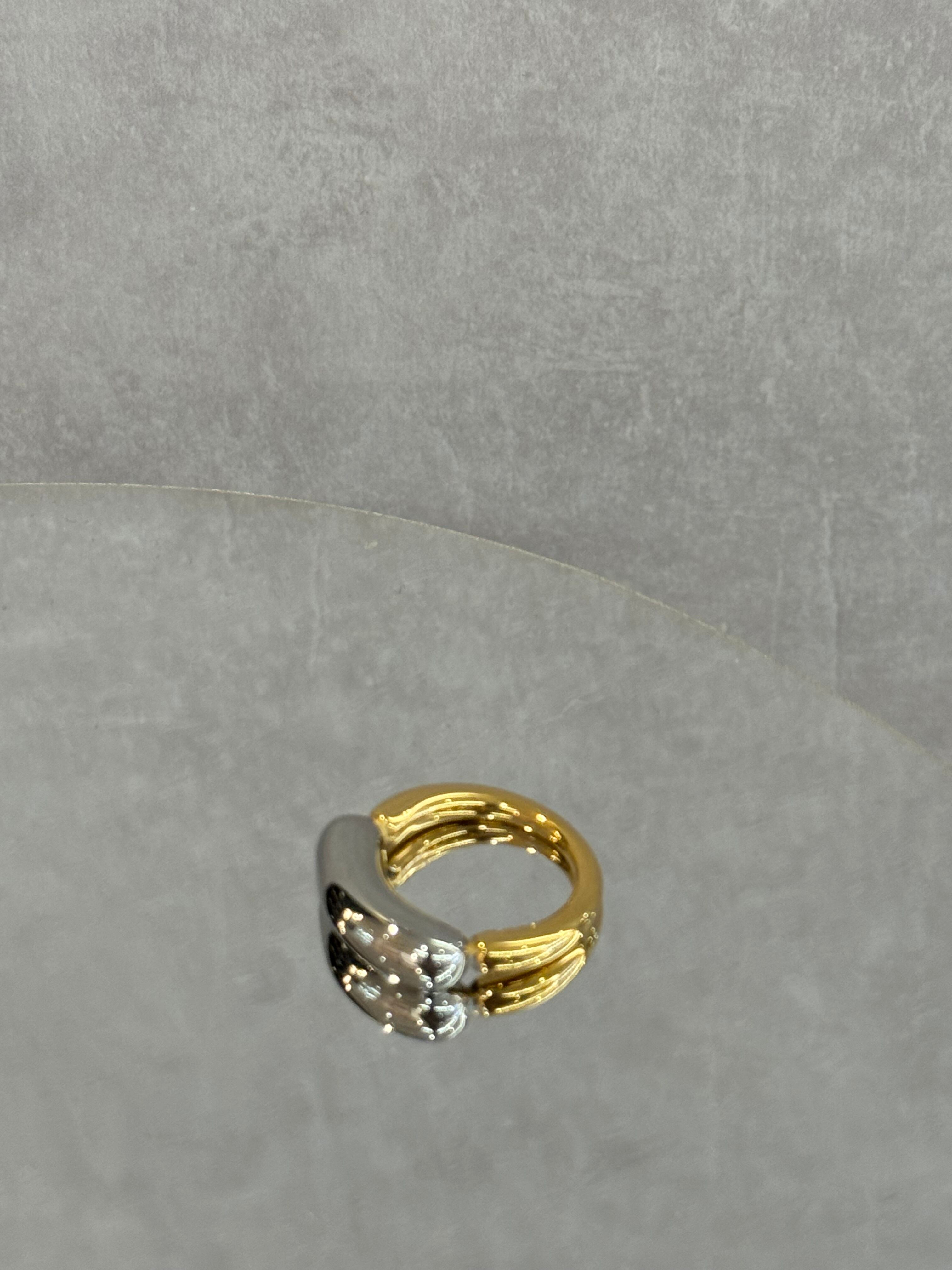 surgical stainless ring