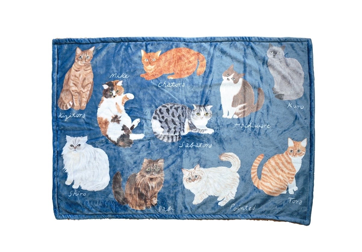 ねこ貴族 （by里親募集型保護猫カフェ拝啓ねこ様）