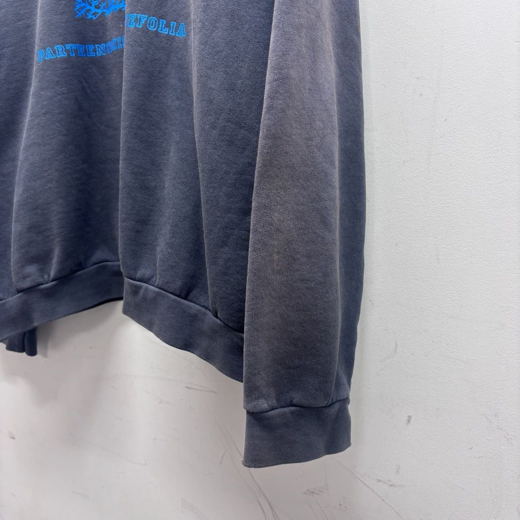 RAF SIMONS ラフシモンズ 02AW Virginia Creeper Sweatshirt