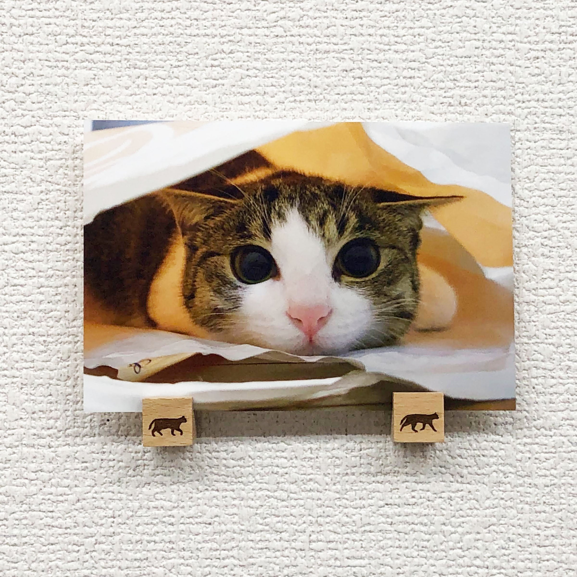 猫 ポストカード The Cat who. 20241125 ラスカル 10x14.8センチ