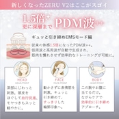 雪音企画共同開発 ゼルV2