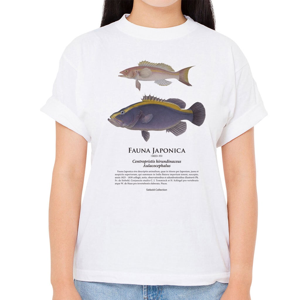 カテゴリーインフォメーションリンク【ルリハタ・ヒメコダイ】シーボルトコレクション魚譜Tシャツ(高解像・昇華プリント)関連商品カテゴリーインフォメーションリンク