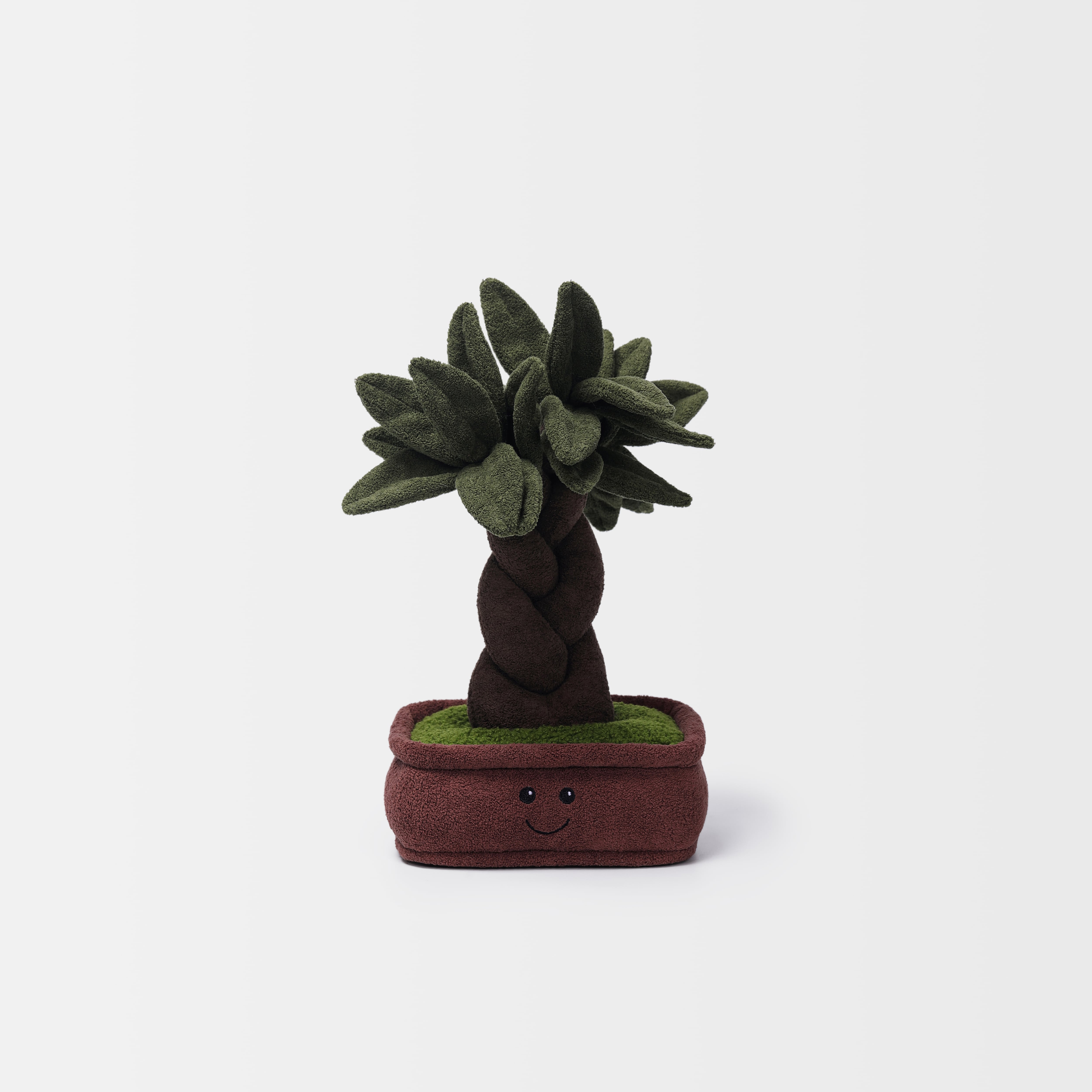 Braided Money Tree_MC300311