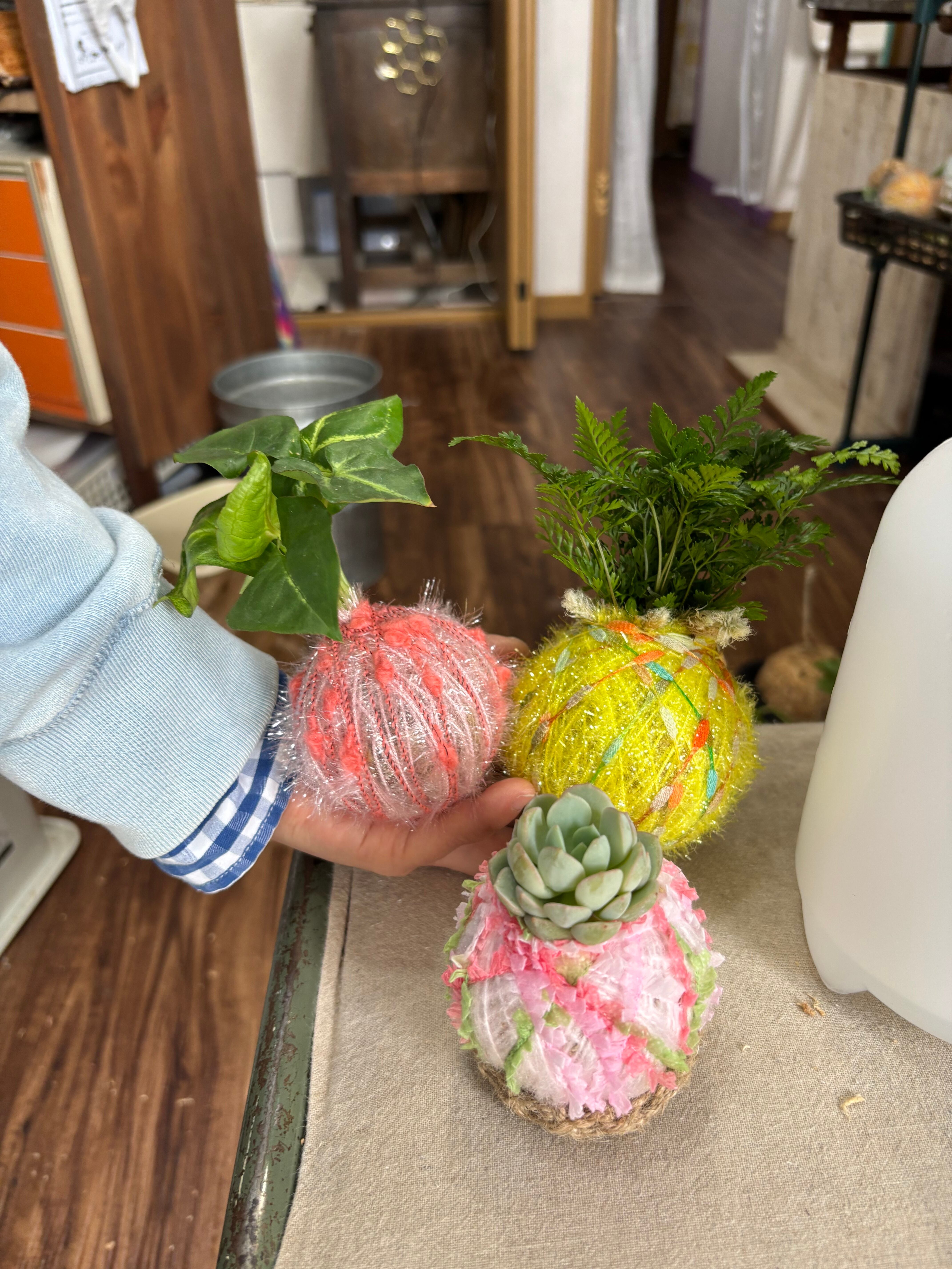 カンキチ工房 オンラインショップ//植物を枯らしてしまう店主が発案