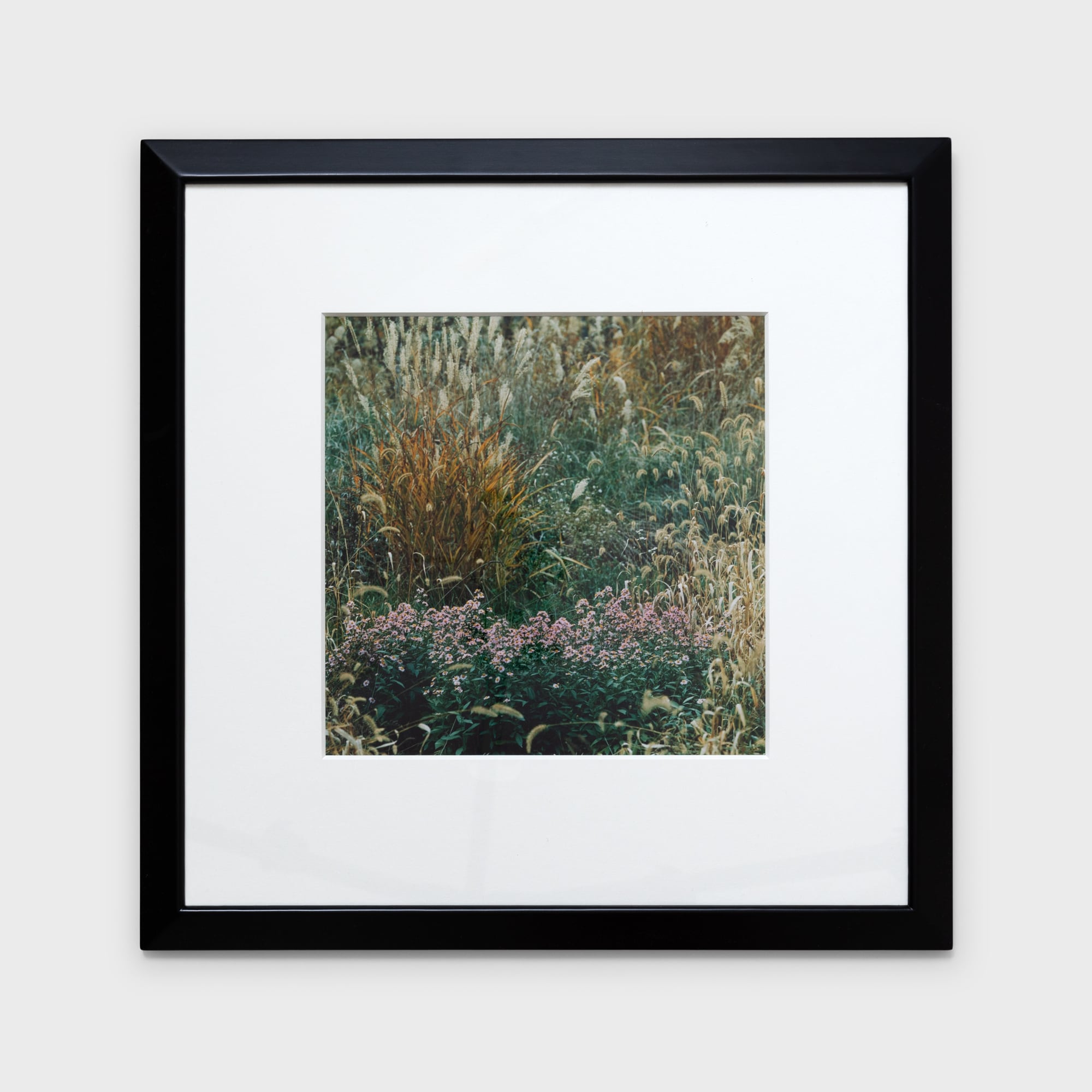 前田真三額装写真「秋の彩り」黒木額〈展示品〉 | 拓真館 TAKUSHINKAN