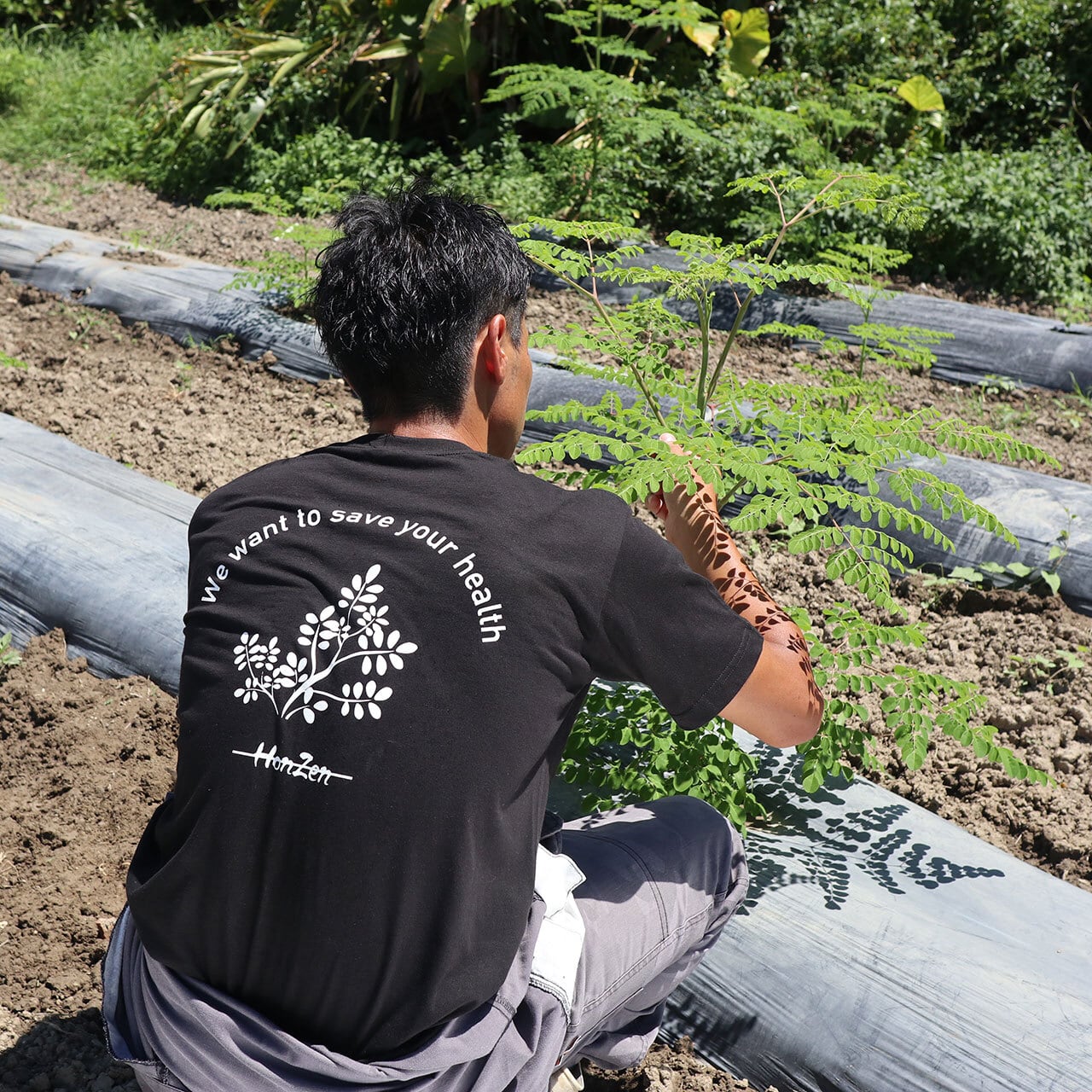 本然農園オリジナルTシャツ2024（ブラック） | 本然農園 - HonZen Nouen -