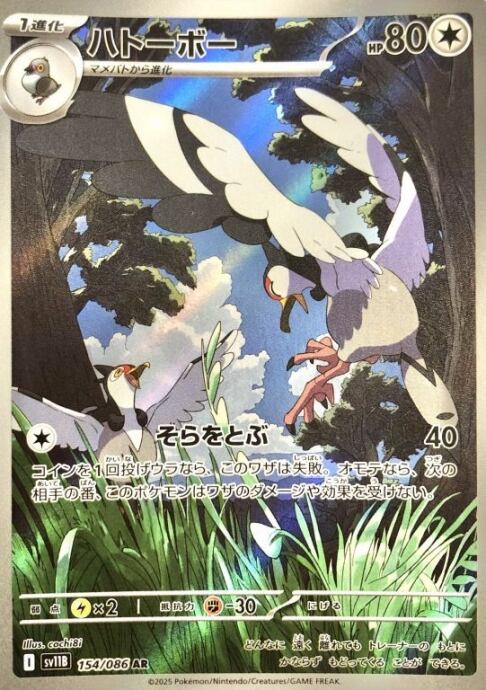 【美品】ハトーボー(AR)