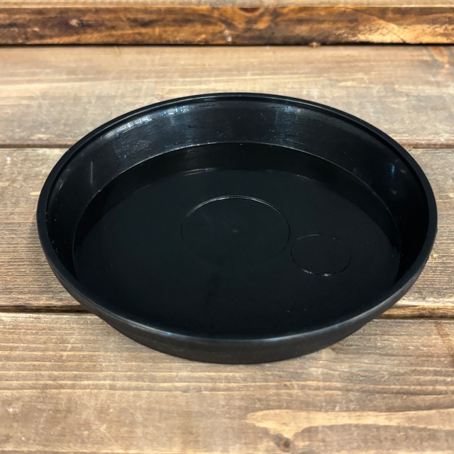 鉢皿 ｻﾙｰﾝ 4号 BK