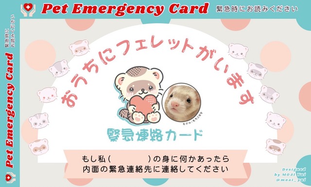 エマージェンシーカード5枚セット(アウトレット品)